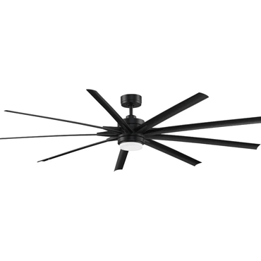 Large Ceiling Fans