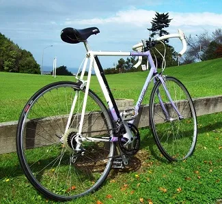 Ride Your Bike