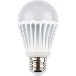 Updated A-Type Light Bulb With LED Lights And Medium Base